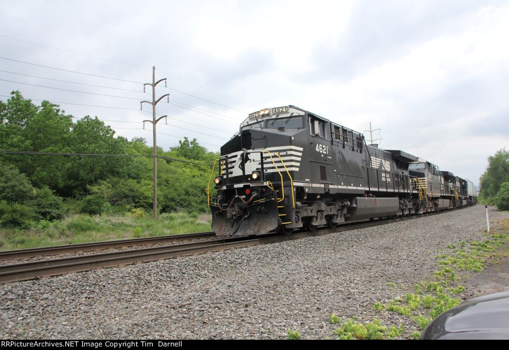 NS 4621 leads 29G